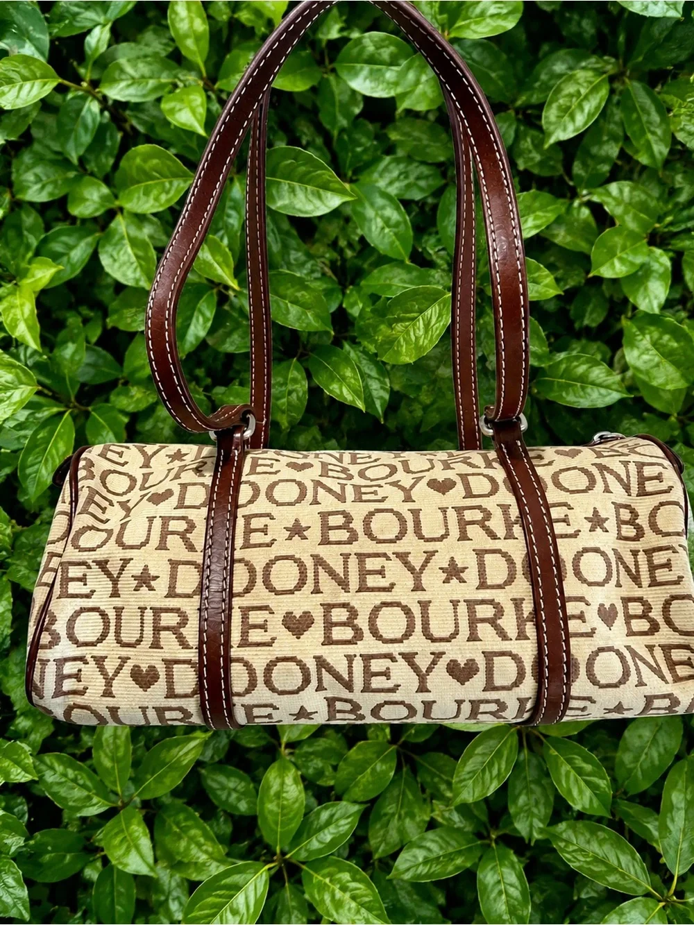 Dooney & Bourke stylish brown